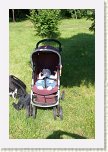 09 - 05 Si Andrei e la picnic * 428 x 640 * (114KB)